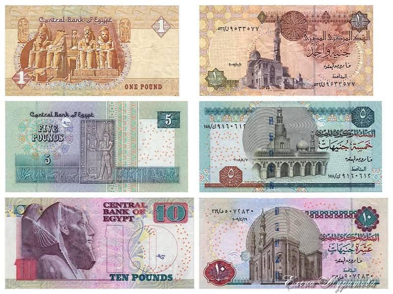 В Египте очень красивая валюта